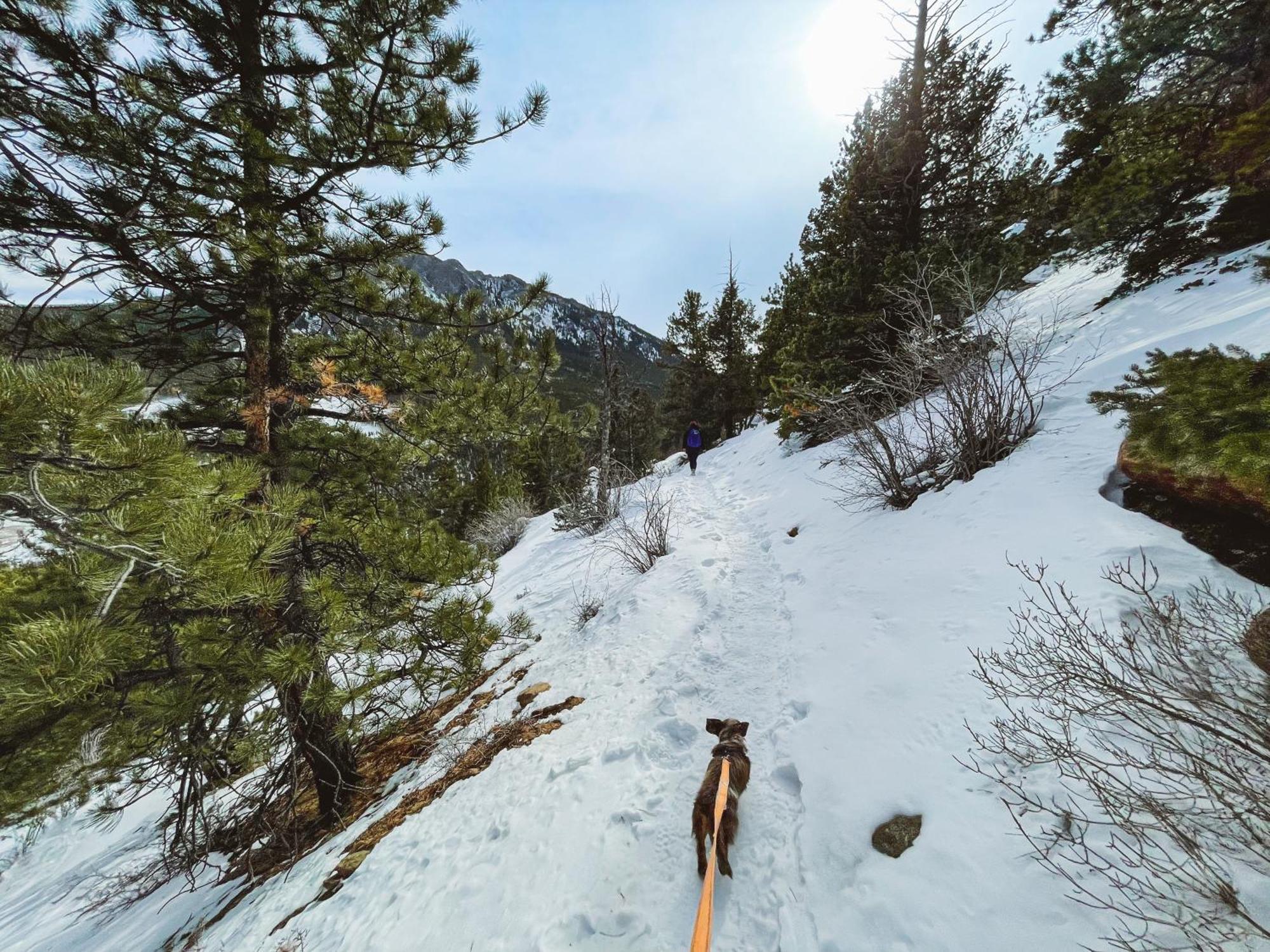 Holiday Inn Estes Park By Ihg Exteriér fotografie